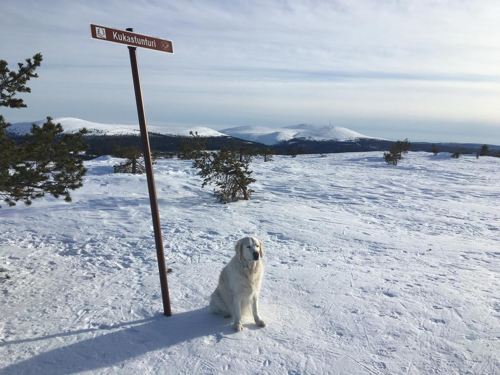 Yllaeksen Yoepuu Villa Akaslompolo Bagian luar foto