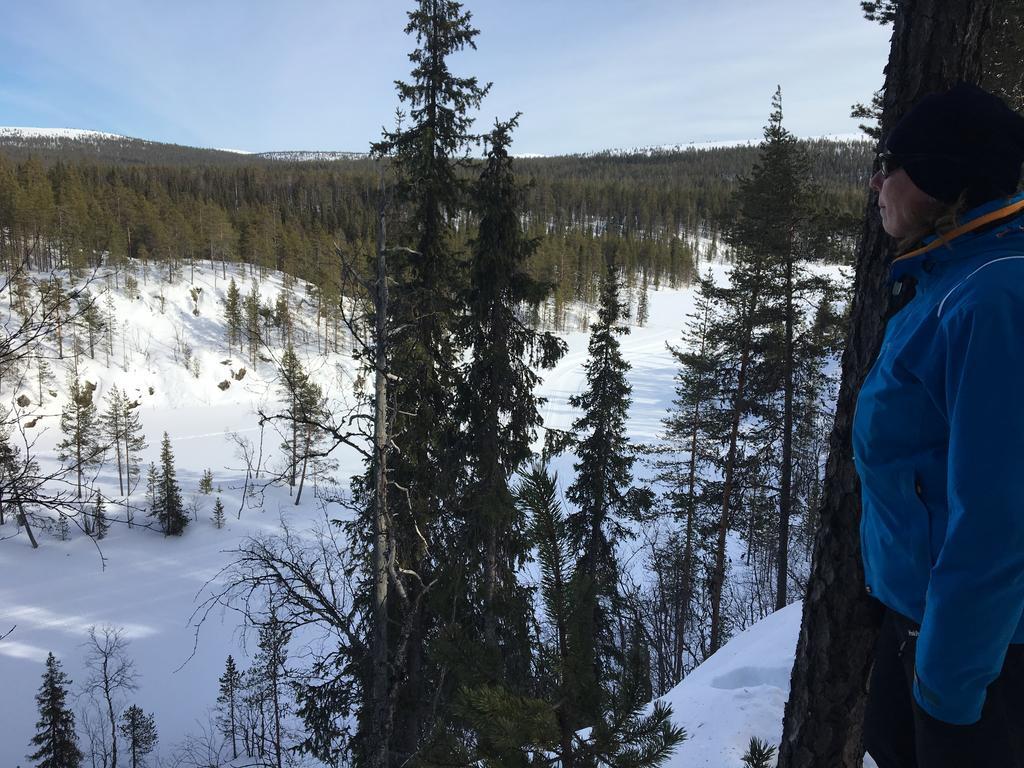 Yllaeksen Yoepuu Villa Akaslompolo Bagian luar foto