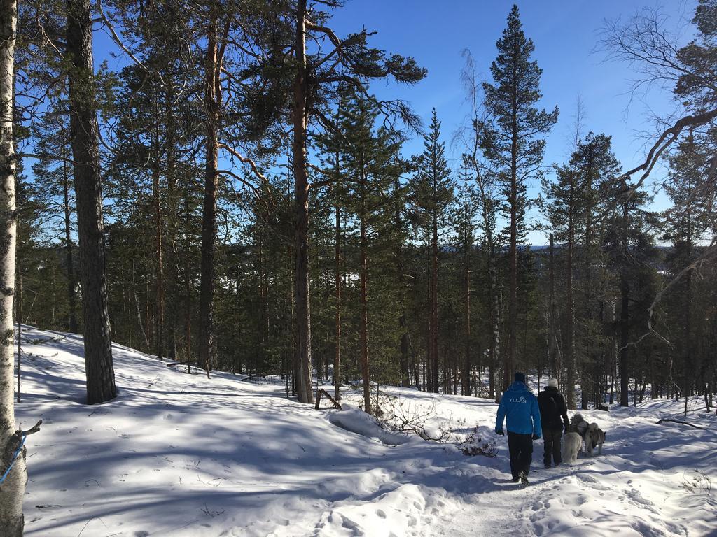 Yllaeksen Yoepuu Villa Akaslompolo Bagian luar foto