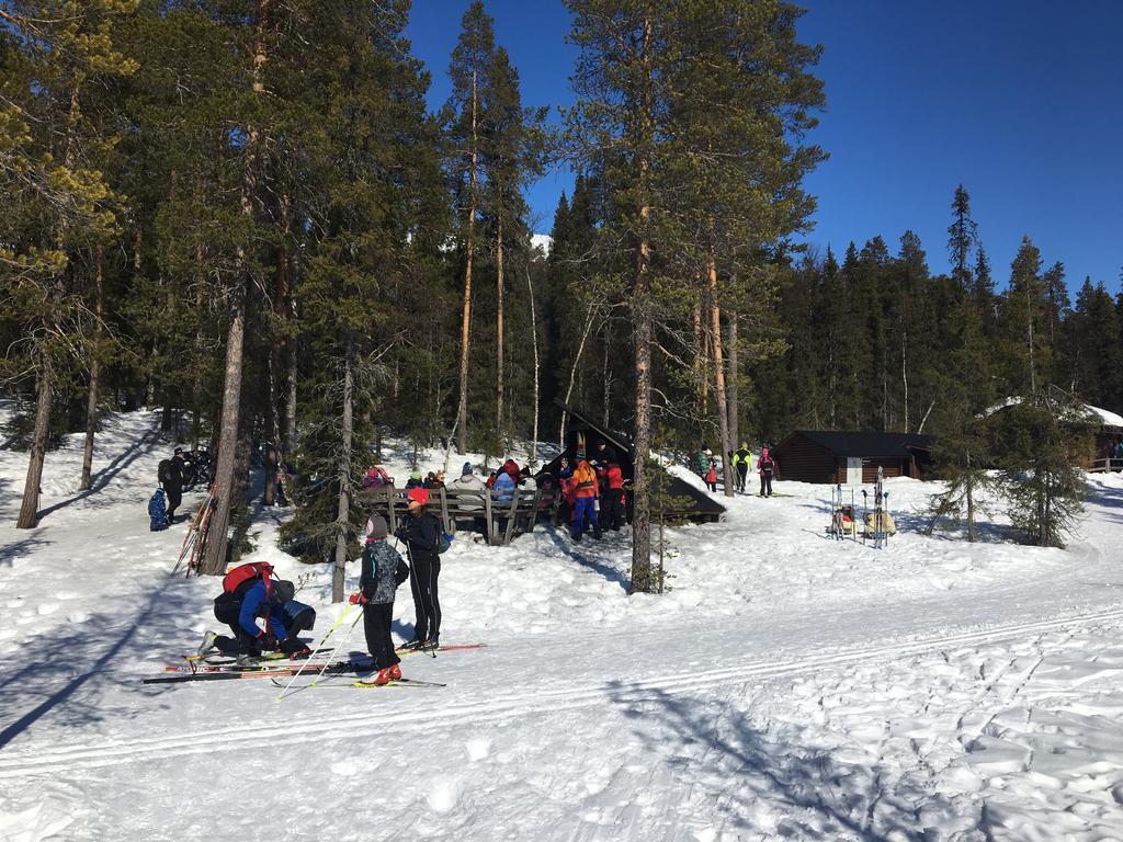 Yllaeksen Yoepuu Villa Akaslompolo Bagian luar foto